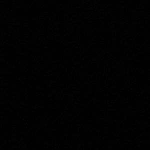 Meet your Posher, Jayla